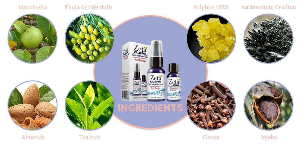 Ingredients of ZetaClear